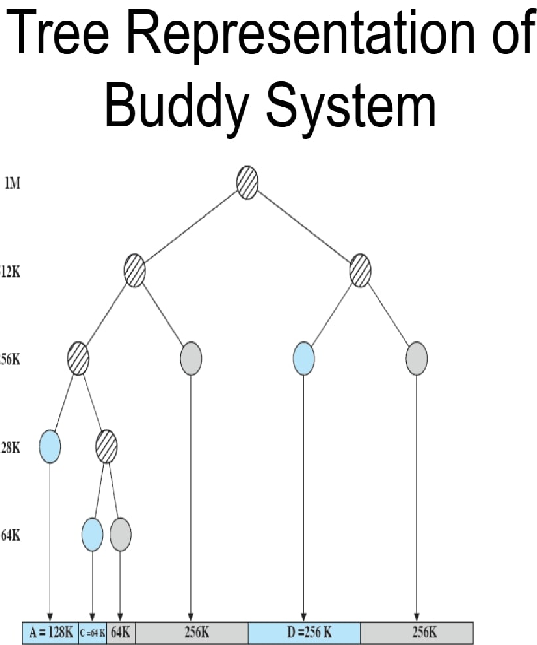 buddy system working view tree representation of buddy system | real life image of buddy system